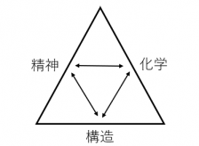 健康になるために必要な３つの要素
