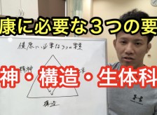 健康に必要な３つの要素