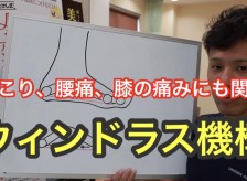 肩こり、腰痛、膝の痛み、足のむくみなどに関係するウィンドラス機構