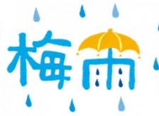 梅雨がきましたね( ﾉД`)