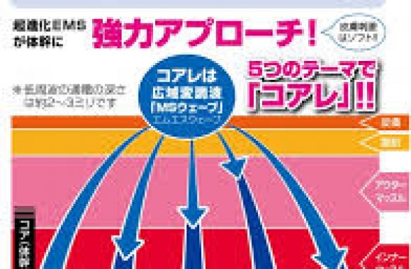 深層筋にまで届く【コアレ】で弱化した筋肉に刺激を与え、筋肉を強化していきます。